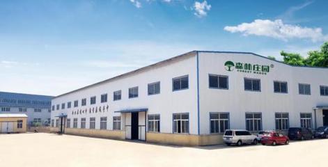 森林庄园贝壳粉 佟朝富总工程师领衔，铸就中国绿色环保涂料新标杆